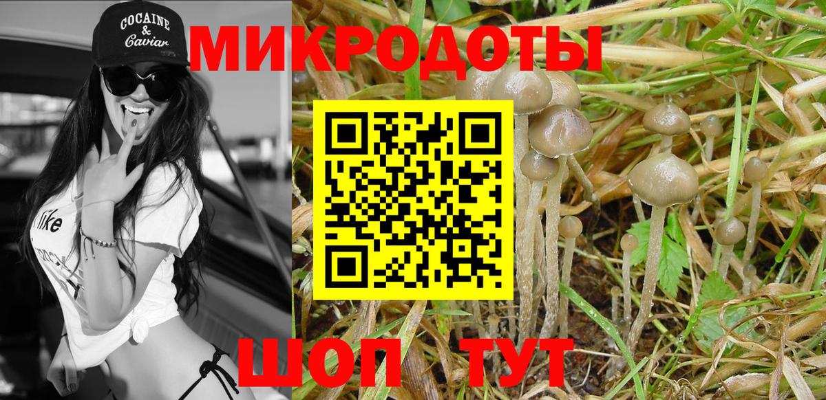 Галлюциногенные грибы мухоморы  Галлюциногенные грибы прущие грибы  Михайловка  Вход с VPN 