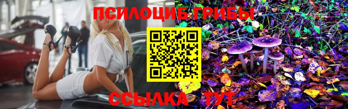 Псилоцибиновые грибы Psilocybine cubensis Михайловка